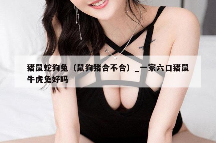 猪鼠蛇狗兔（鼠狗猪合不合）_一家六口猪鼠牛虎兔好吗